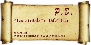 Placzintár Délia névjegykártya